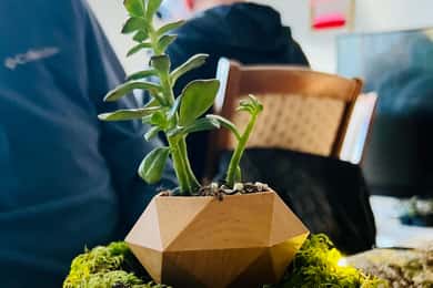 Workshop om magnetiskt flytande terrarium