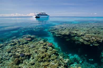 Cairns: Great Barrier Reef 5 Day Learn to Dive Course