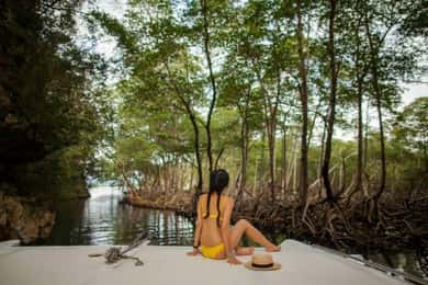 Los Haitises & Waterfall Adventure– Full Day from Punta Cana