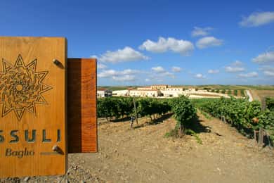 Mazara del Vallo: Assuli Tour and Wine Tasting Experience