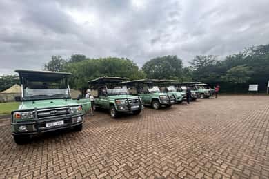 Hluhluwe Imfolozi Safari inclusief Open Voertuig Game Drive