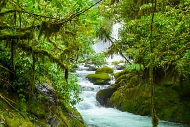 From San Jose: La Paz Waterfall Garden & Rainforest Tour