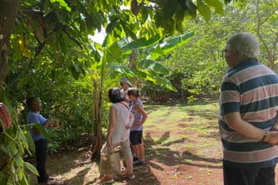 St. George's: Half-day spice and waterfall tour