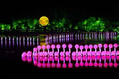 Hangzhou : Impression West Lake Show (souvenirs durables de HZ)