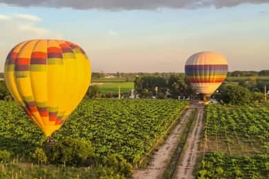 Hot Air Balloon Ride Over Mendoza’s Vineyards & Wine Toast