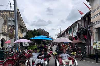 Penang: Penang Island Full-Day Private Tour