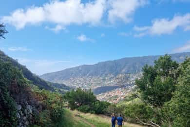 Madeira: Porto da Cruz to Machico Hiking Tour with Transfer