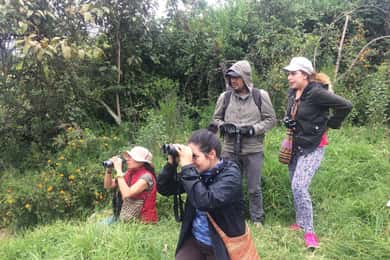 Birdwatching Day Tour at Chicaque Natural Park