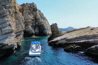 Cartagena: Guided boat tour to Isla de las Palomas