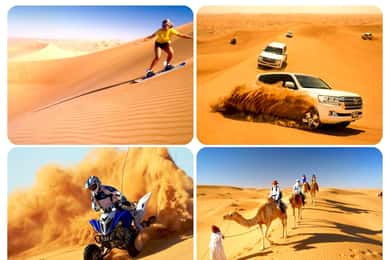 Doha: Safari, Camel Ride, Sandboarding and Inland Sea Tour