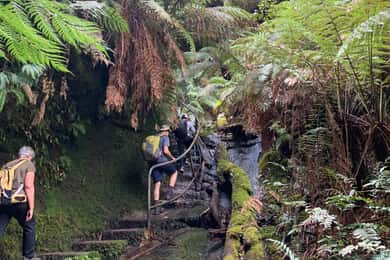 Beauty of the Blue Mountains Private Tour
