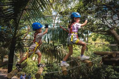 Ourimbah: Central Coast Junior Tree Ropes Course