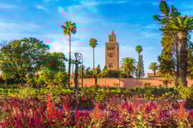 Visita de medio día a los Palacios y Monumentos de Marrakech