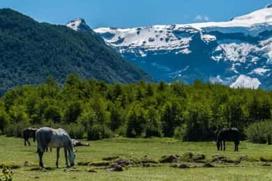 Bariloche: Cerro Tronador and Ventisquero Negro Glacier Tour