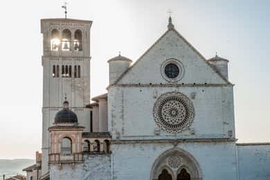 Assis: Segue os passos de São Francisco e Carlo Acutis