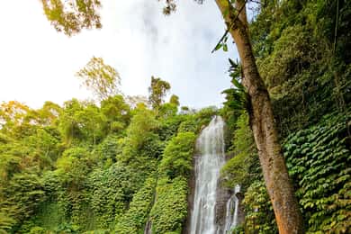 Bali:Explore 5 Waterfalls Trekking Tour in Munduk Bali