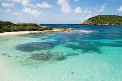 From St John's: Half Moon Bay Beach Half-Day Trip by Van