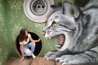 Museum of Fantastic Illusions Inträdesbiljett