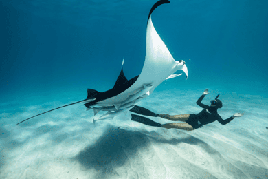 Nusa Penida Island: Manta Point Snorkeling & West Coast Tour