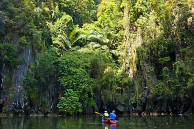 Krabi: Aventura de caiaque pela floresta de mangue de Ao Thalane