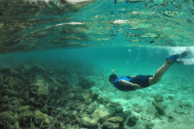 Full Day Pinzon Island, Finishing in la Fe with Snorkeling