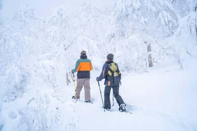 Noboribetsu: Excursión con raquetas de nieve por el Paso de Orofure