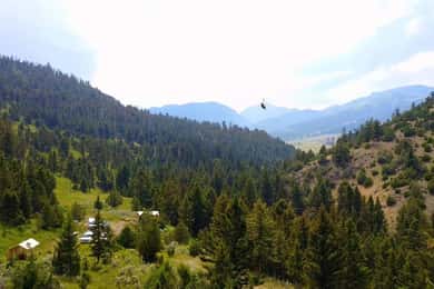 Gardiner: Guided Zipline EcoTour (3 hours)