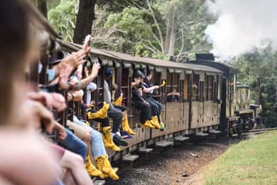 De Melbourne: Trem a vapor Puffing Billy e passeio pela vida selvagem