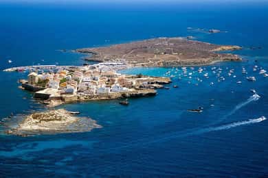 Fra Valencia: Dagstur til Isla Tabarca med katamaran