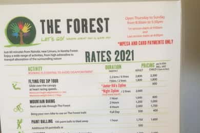 Nairobi: Kereita Forest Day Trip with Zip Line Experience