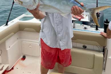 Key West Fishing Charter: Catch your Dinner!