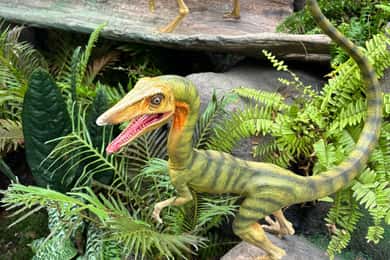 Singapur: tour de la ciudad y Jurassic World en Gardens by the Bay