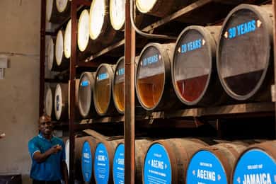 Montego Bay/Negril: Visita ao Appleton Estate Rum Express