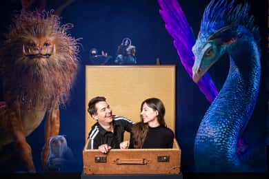 Krakow: Harry Potter Exhibition- Ticket and Transportation