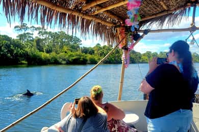 2 Hour Tiki Dolphin Sightseeing Tour in Cocoa Beach