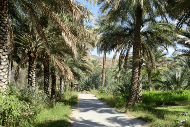 Z Maskatu: 2-dniowa wycieczka do Nizwy i Jebel Akhdar