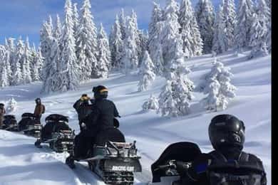 Bucharest: Carpathian Snowmobile Adventure Tour