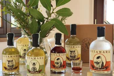 Cannara: Herbal Liqueur tasting with food pairing