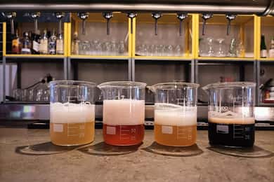 Craft Beer Tasting and tapas in Valencia