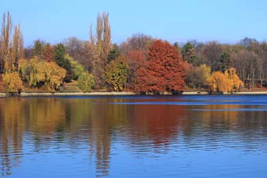 Bucharest Sightseeing Tour
