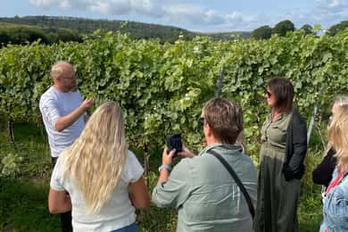 Brighton: Sussex Wine Region Walking Tour with Tastings