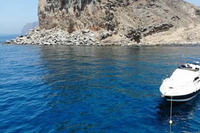 Mogan: Delfinbeobachtungstour mit Badestopp