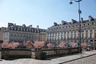 Rennes : Visite guidée privée à pied