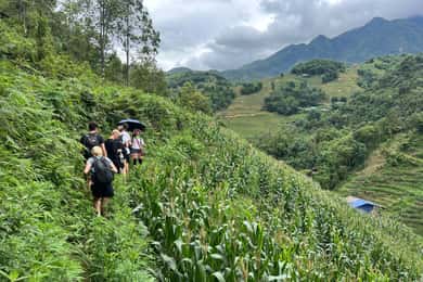 Explore Sapa by TrekkingAdventures, Mountain,Rice fields