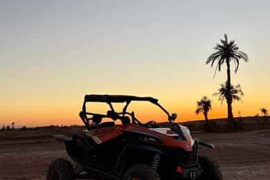 Marrakech: Tour in buggy al tramonto del palmeto