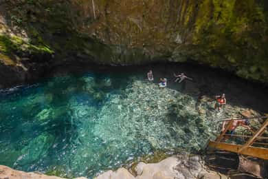 Rincón de la Vieja: Las Pailas trail + Oropendola