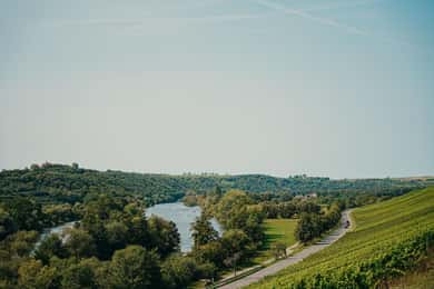 Volkach/Fahr: Wine Spirit Rebellion wine hike