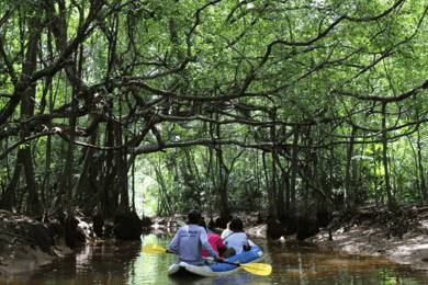 Khao Lak: Tour del Parco Nazionale di Sri Phang Nga e Takuapa