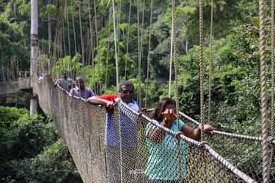 Takoradi: Shore Excursion for Cruise Passengers