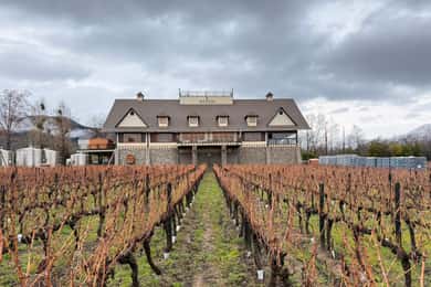 Alyan Family Wines | Obilazak u suton